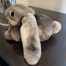baby bunny grey for sale baby bunny grey for sale Mount Kisco