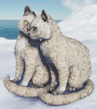 Id36 cat clone for sale  PENCADER