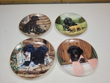 Labrador collectors plates for sale  WISBECH
