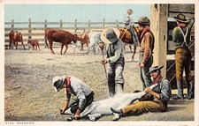 Postcard western cowboys for sale  Hillsborough