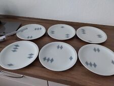 Arzberg porzellan speiseteller gebraucht kaufen  Dillenburg