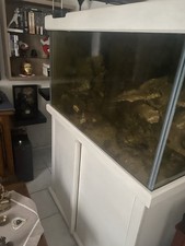 Aquarium 300 litres d'occasion  Saint-Victoret