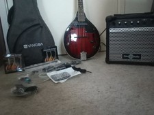 Vangoa style mandolin for sale  PONTYPRIDD