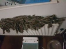 Grey squirrel tails for sale  NEWCASTLE UPON TYNE