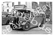 Bus photograph western for sale  ALFRETON