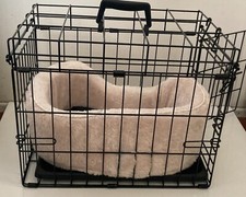 Cat kitty dog for sale  San Diego