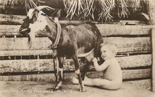 Postcard billy goat for sale  Catonsville