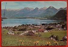 Gilgen wolfgangsee salzkammerg gebraucht kaufen  Burgschwalbach, Holzheim, Isselbach