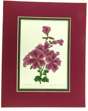 Purple geranium print for sale  Los Angeles