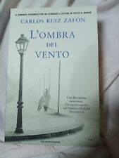 Libro carlos ruiz usato  San Martino Dall Argine