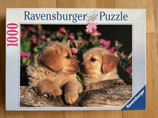 Ravensburger puzzle 1000 gebraucht kaufen  Korschenbroich