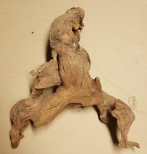 Mangrovia radice legno usato  Lessona