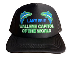 Vintage lake erie for sale  Lakewood