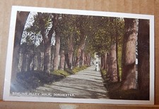 Postcard dorchester dorset for sale  ROSSENDALE