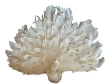 High quality white for sale  Chula Vista