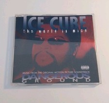 Ice cube the gebraucht kaufen  Steinau