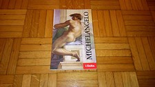 Michelangelo grandi maestri usato  Biella