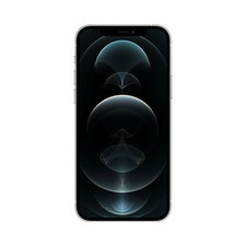 APPLE IPHONE 12 PRO 256GB PRATA - MGK63LL/A-PRATA - DESBLOQUEADO - PRATA, usado comprar usado  Enviando para Brazil