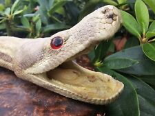 Taxidermy reptile snake for sale  Kent