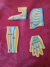 Lot magnets magnets d'occasion  Expédié en Belgium