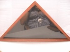 Flag case fits for sale  Titusville