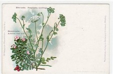 39027056 lithographie bad gebraucht kaufen  Eimeldingen