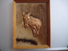 Alte zebra blechbild gebraucht kaufen  Osnabrück