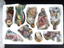 Vtg 10pc nativity for sale  South Lake Tahoe