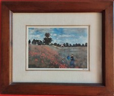 Quadro riproduzione campo usato  Padova