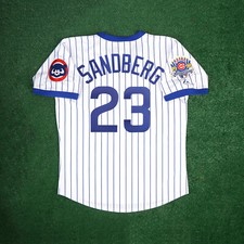 Ryne sandberg 1990 for sale  Cassatt