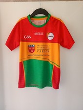 Carlow ceatharlach gaa for sale  BELFAST