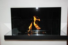 Kamin bioethanol edelstahl gebraucht kaufen  Troisdorf