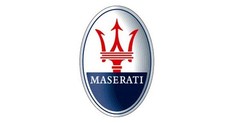 Stemma cofano logo usato  Napoli