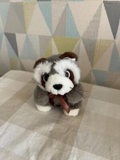 Racoon canned critters for sale  BRISTOL