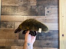 Platypus plush vtg for sale  Cartersville