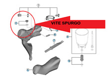 Vite vite spurgo usato  Sapri