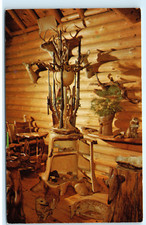 Shrine pines baldwin for sale  Acampo