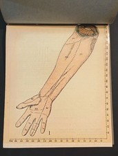 Anatomia avambraccio atlante usato Anatomia avambraccio atlante usato  Milano