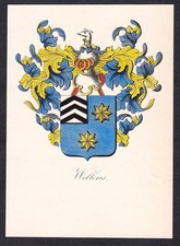 Wellens blason coat gebraucht kaufen  Seubersdorf