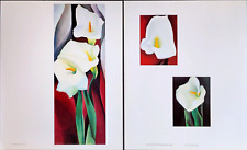 Georgia keeffe calla for sale  Sahuarita