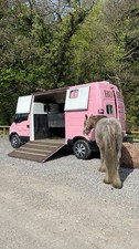 3.5t horse box for sale  BRADFORD