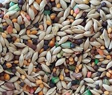 Canary food roller for sale  El Monte