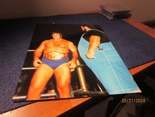 Bruno sammartino haystacks for sale  Linthicum Heights