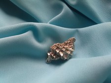 Geo art design gebraucht kaufen  München