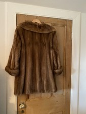 Fabulous female mink for sale Fabulous female mink for sale  BERWICK-UPON-TWEED