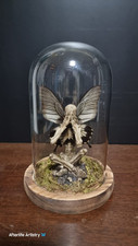 Skelenton fairy taxidermy for sale  BRISTOL