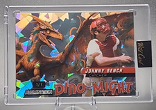 Johnny Bench 1/1 2024 Wild Card Dino Might prata gelo rachado Cincinnati Reds, usado comprar usado  Enviando para Brazil