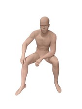 Type male sitter for sale  BIRMINGHAM