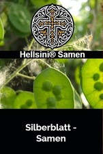 Silberblatt lunaria annua gebraucht kaufen  Schwabach