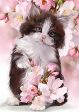 Kunstkarte lustige katze gebraucht kaufen  Parkstein